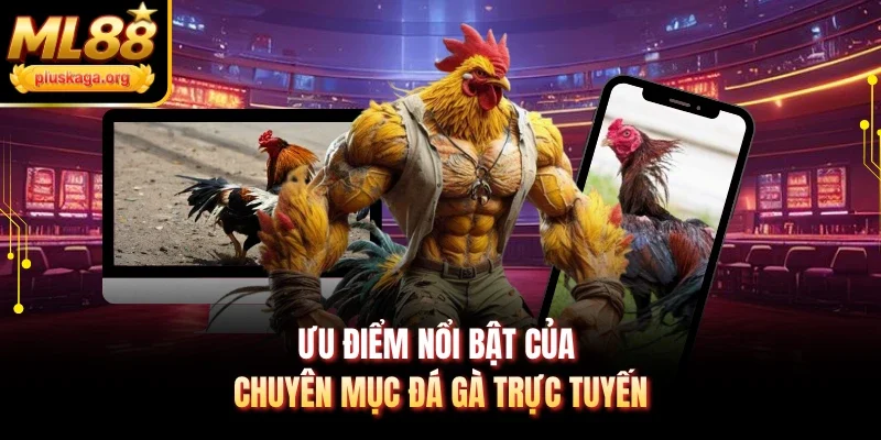 Ưu điểm nổi bật của chuyên mục đá gà trực tuyến